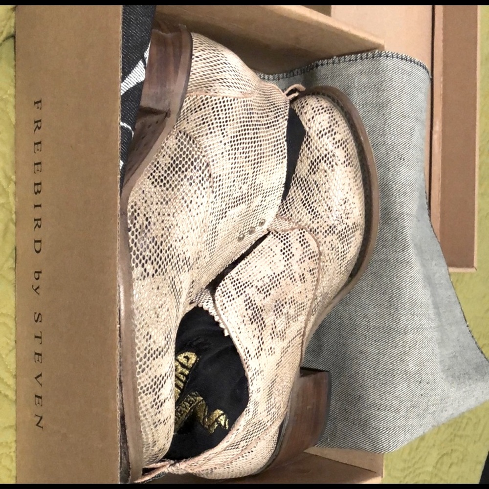 Freebird by Steven Sadie Snake